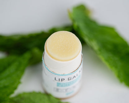 Lip Balm Bundle